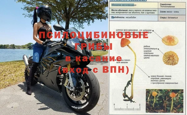МДПВ Алзамай