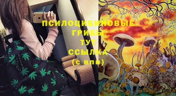 МДПВ Алзамай